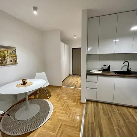 Ll65 Apartmens Airport Nikola Tesla شقة *